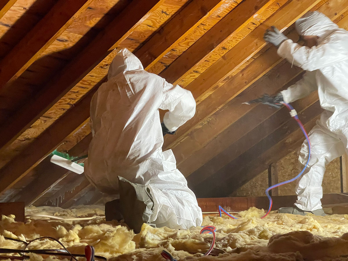 Home Mold Remediation in Pleasant Valley NJ