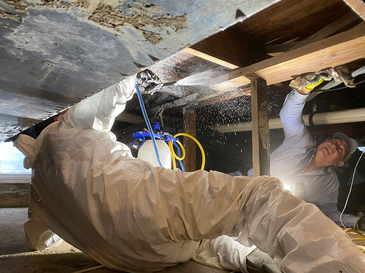Mold Inspection Company in Roosevelt NJ